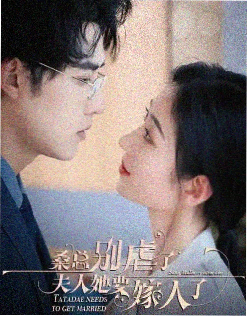 遮天txt无删减封面